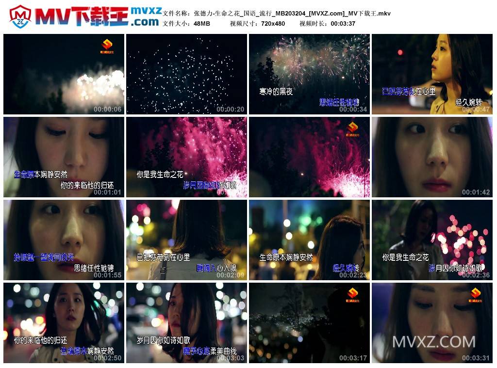 张德力-生命之花_国语_流行_MB203204